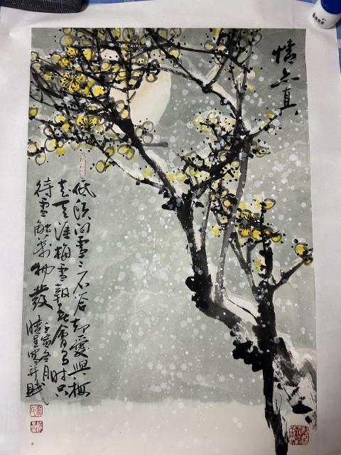 古玩字畫盧曉星老師梅花精品《情意真》拍賣,當前價格980元