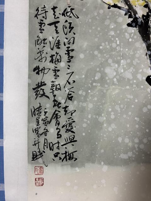 古玩字畫盧曉星老師梅花精品《情意真》拍賣,當前價格980元