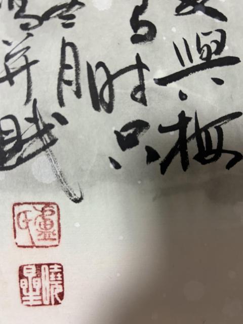 古玩字畫盧曉星老師梅花精品《情意真》拍賣,當前價格980元