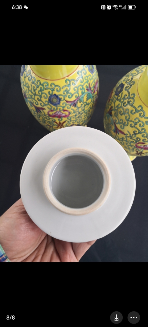 古玩陶瓷彩繪雞腿蓋瓶拍賣,當前價格3500元