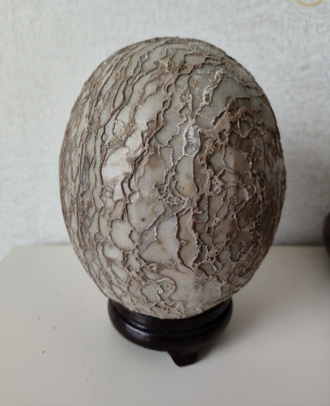 古玩雜項(xiàng)卷型石拍賣,當(dāng)前價(jià)格360元