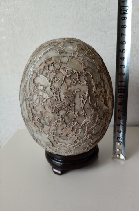 古玩雜項(xiàng)卷型石拍賣,當(dāng)前價(jià)格360元