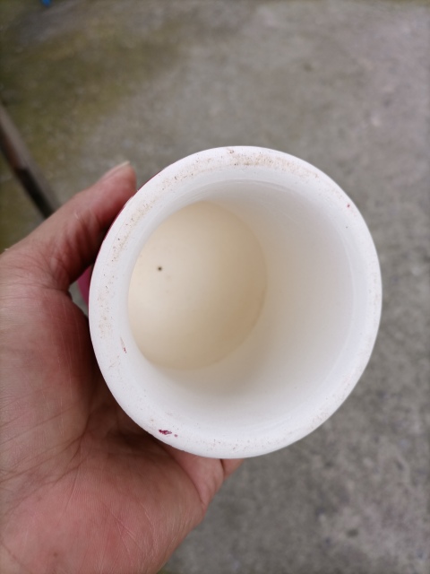 古玩陶瓷紅釉燈臺拍賣，當(dāng)前價格300元