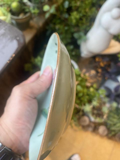 古玩陶瓷豆青釉粉彩荷花紋盤拍賣,當前價格4820元