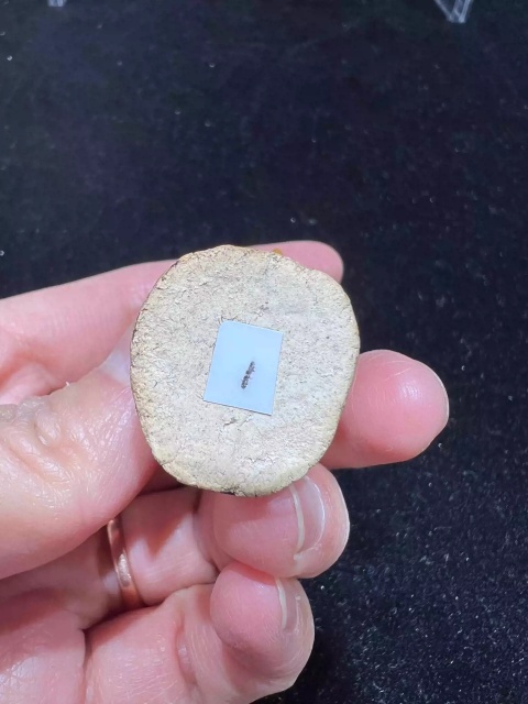 古玩陶瓷素三彩鳥形瓷塑拍賣,當前價格369元