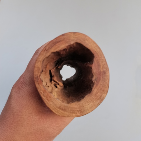 古玩雜項海南黃花梨隨型筆筒拍賣,當前價格4800元