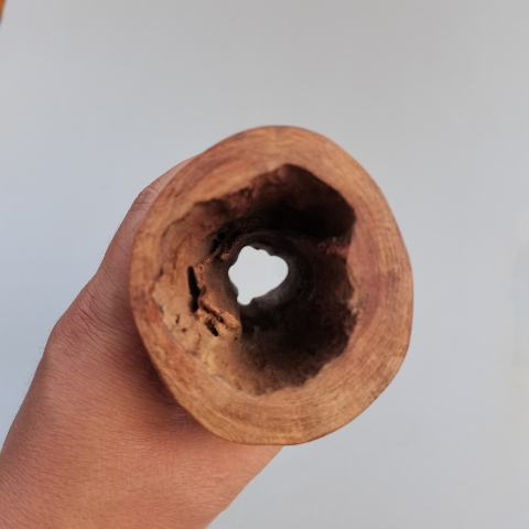 古玩雜項海南黃花梨隨型筆筒拍賣,當前價格4800元