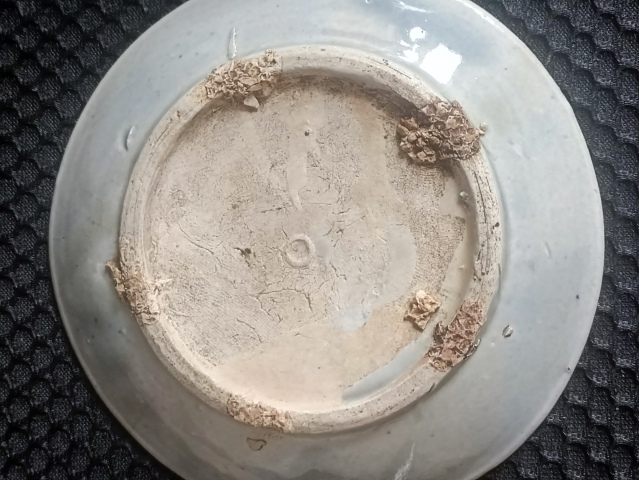 古玩陶瓷清.青花靈芝紋盤一對拍賣，當前價格98元