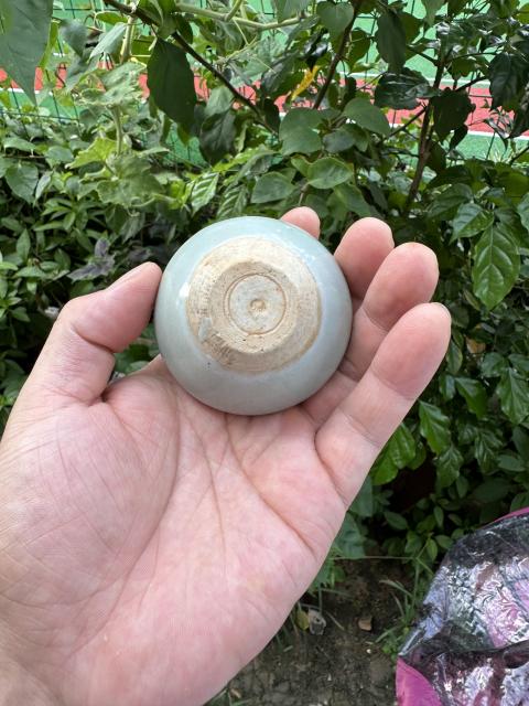 古玩陶瓷元代龍泉青瓷粉青釉水盂(頂級精品)拍賣,當前價格9800元