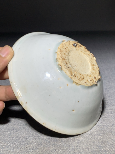 古玩陶瓷明晚·青花萊菔紋盤真品鑒賞圖