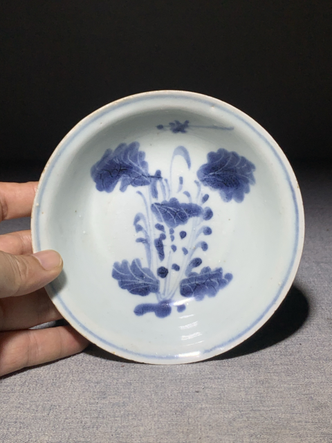 古玩陶瓷明晚·青花萊菔紋盤真品鑒賞圖