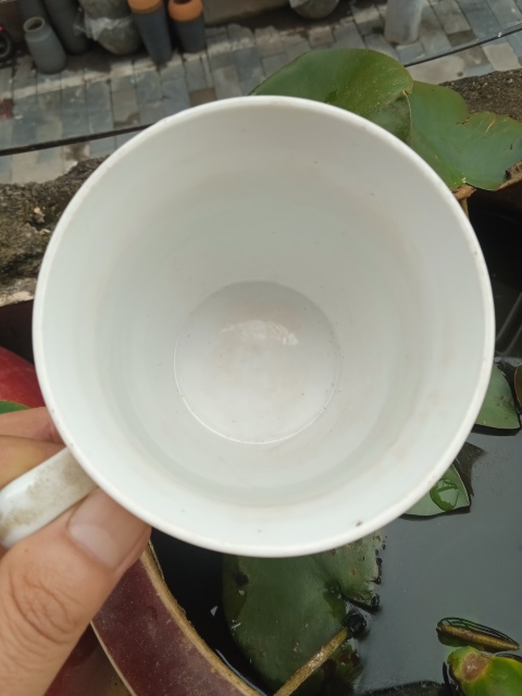 古玩陶瓷粉彩燈塔山水茶杯拍賣(mài),當(dāng)前價(jià)格666元