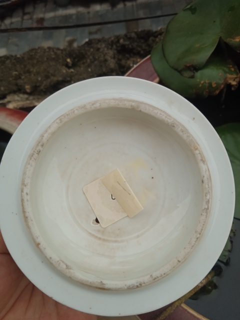 古玩陶瓷粉彩燈塔山水茶杯拍賣(mài),當(dāng)前價(jià)格666元