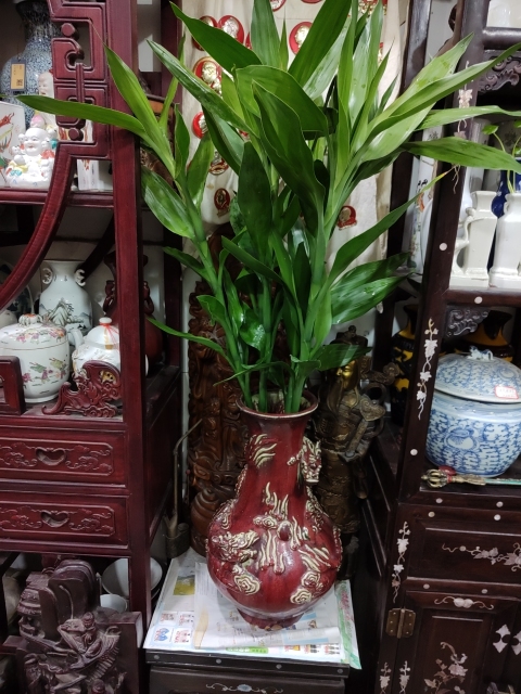 古玩陶瓷窯變紅釉雙龍瓶拍賣,當(dāng)前價(jià)格1288元
