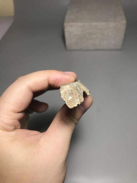 古玩雜項壽山石老翁拍賣,當前價格299元