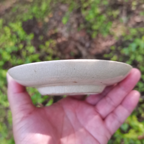 古玩陶瓷紅綠彩福字花卉卷草紋盤拍賣,當(dāng)前價(jià)格0元