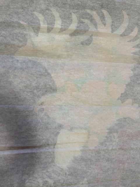 古玩字畫楊雪紅《工筆雄鷹》支持實物鑒定 帶證書拍賣,當前價格766元