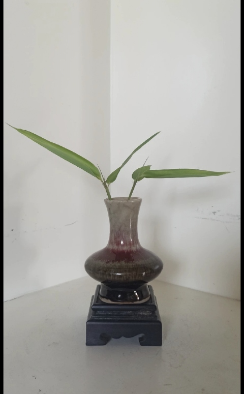 古玩陶瓷三陽開泰品種荸薺瓶拍賣，當前價格6900元