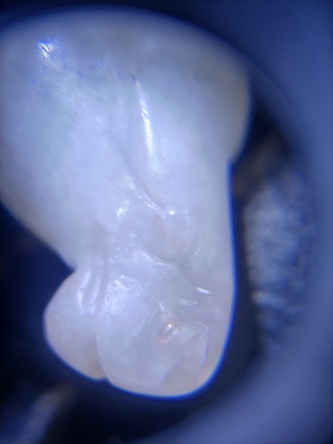 古玩玉器青海玉仿“馬上封侯”擺件拍賣，當前價格380元