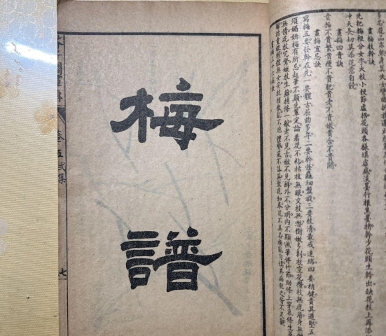 古玩字畫(huà)民國(guó)芥子園《梅譜》書(shū)籍拍賣(mài),當(dāng)前價(jià)格99元