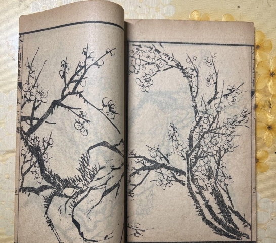 古玩字畫(huà)民國(guó)芥子園《梅譜》書(shū)籍拍賣(mài),當(dāng)前價(jià)格99元