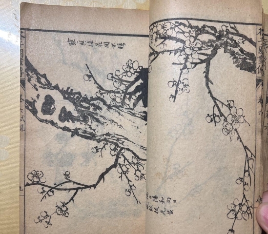 古玩字畫(huà)民國(guó)芥子園《梅譜》書(shū)籍拍賣(mài),當(dāng)前價(jià)格99元