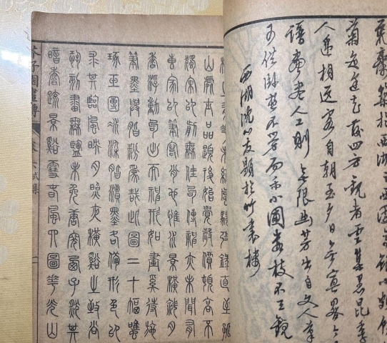 古玩字畫(huà)民國(guó)芥子園《梅譜》書(shū)籍拍賣(mài),當(dāng)前價(jià)格99元