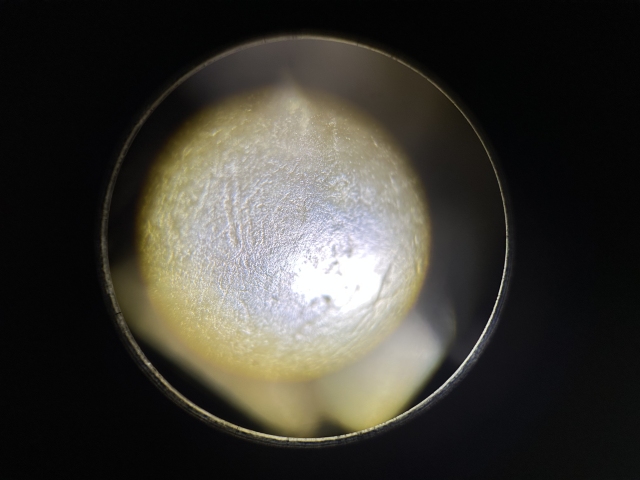 古玩玉器明清代玉鐲拍賣，當前價格1800元