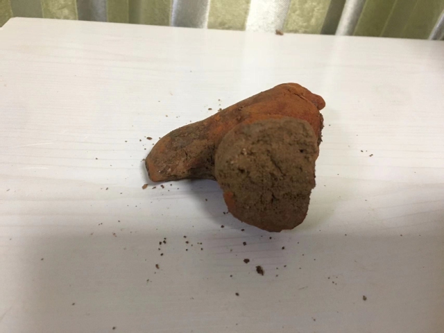 古玩陶瓷隋唐·紅陶公雞拍賣,當前價格766元