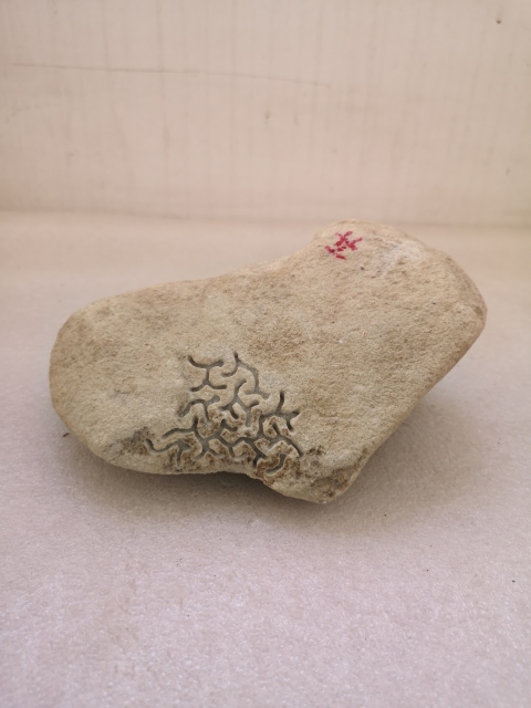古玩玉器天然翡翠賭石原料拍賣,當前價格680元