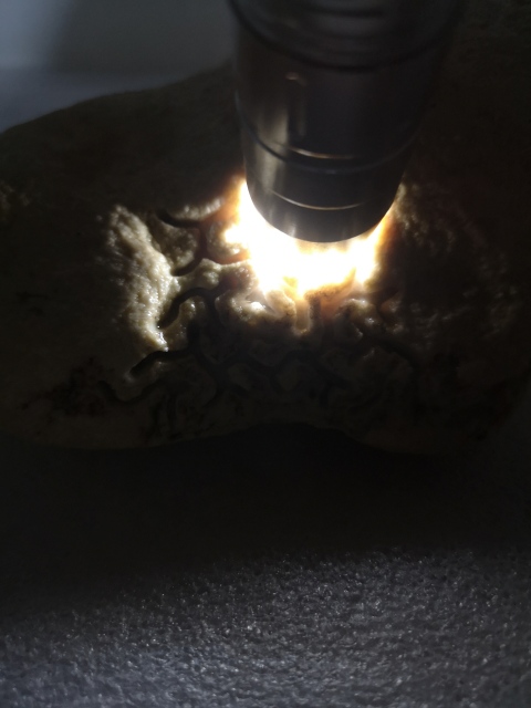 古玩玉器天然翡翠賭石原料拍賣,當前價格680元