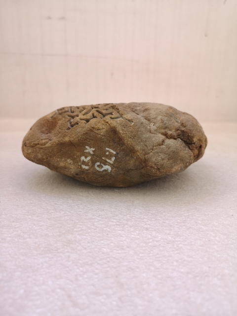 古玩玉器天然翡翠賭石原料拍賣,當前價格480元