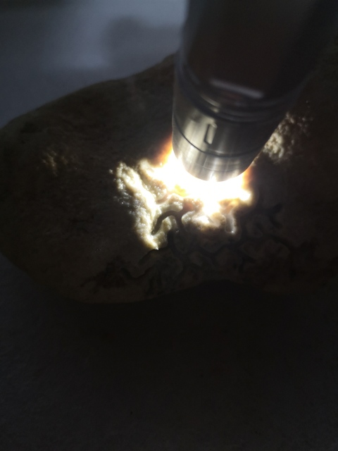 古玩玉器天然翡翠賭石原料拍賣,當前價格680元