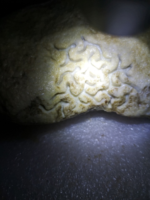 古玩玉器天然翡翠賭石原料拍賣,當前價格680元