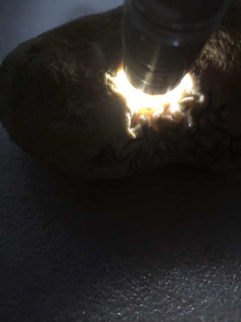 古玩玉器天然翡翠賭石原料拍賣,當前價格680元