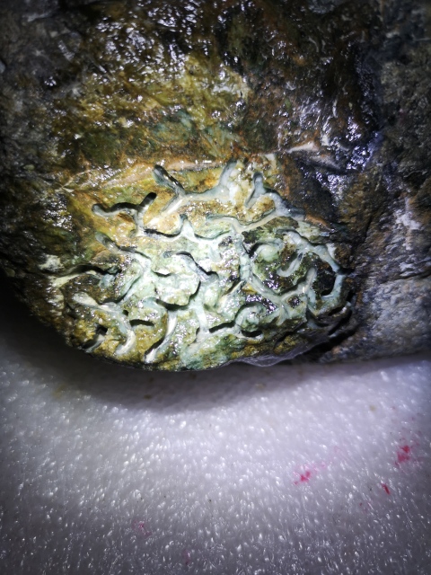 古玩玉器天然翡翠賭石原料拍賣，當前價格850元