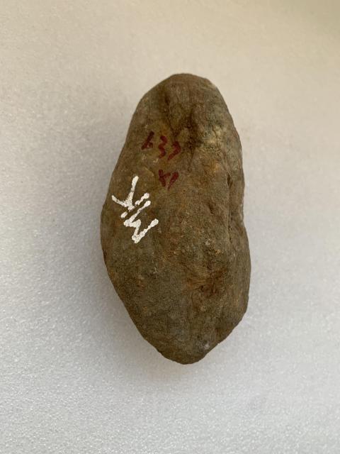 古玩玉器天然翡翠賭石原料拍賣,當(dāng)前價(jià)格580元