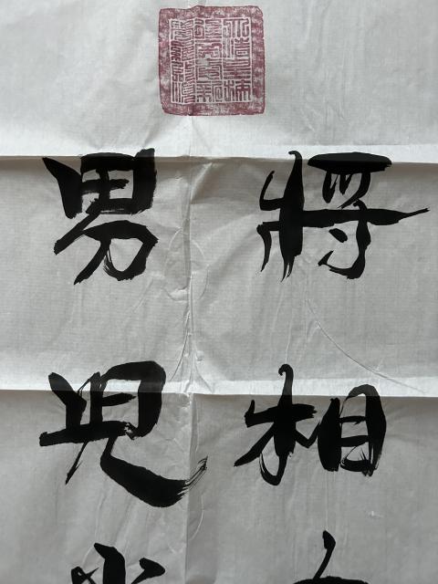古玩字畫愛新覺羅.啟順老師《男兒當自強》拍賣,當前價格298元