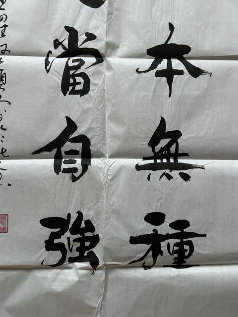 古玩字畫愛新覺羅.啟順老師《男兒當自強》拍賣,當前價格298元
