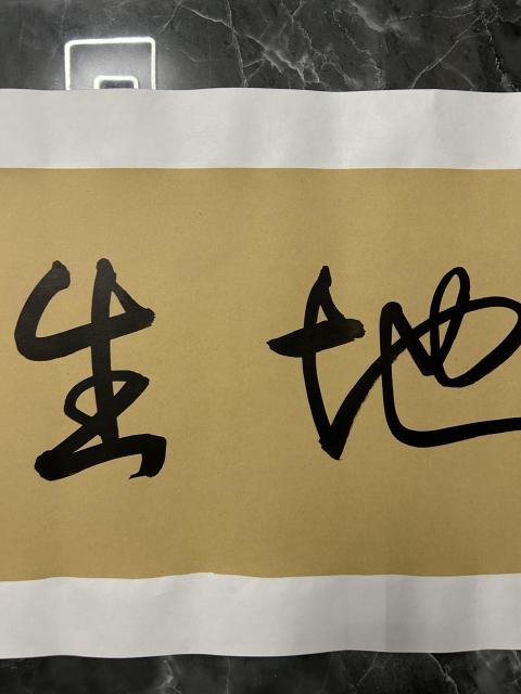 古玩字畫張東林老師《寶地生金》拍賣,當前價格378元