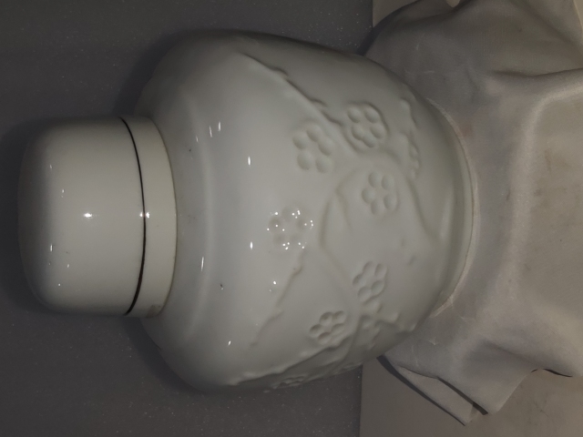 古玩陶瓷白釉梅花紋蓋罐拍賣,當(dāng)前價格0元