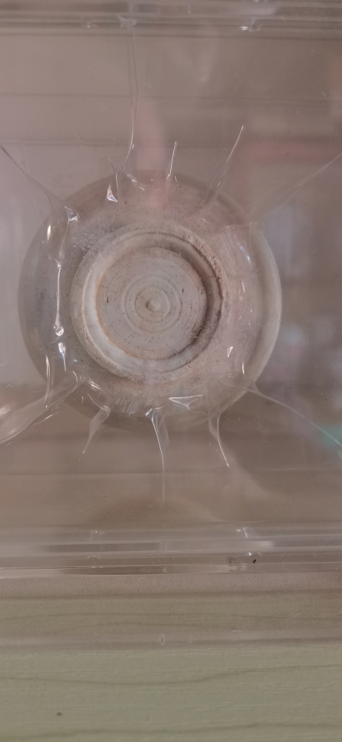 古玩陶瓷青白釉蓋罐拍賣，當前價格1000元