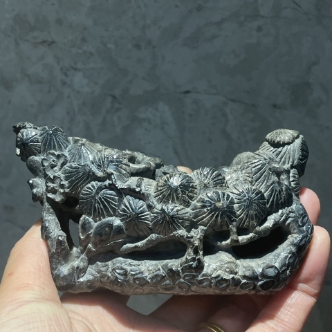 古玩雜項清代煤精石洗拍賣，當前價格36000元