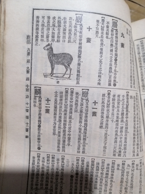 古玩雜項辭源拍賣,當前價格3666元