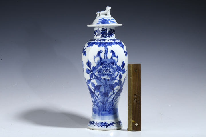 古玩陶瓷【域鑒優品折扣放漏】光緒·青花洞石花鳥紋雞腿瓶拍賣，當前價格3960元