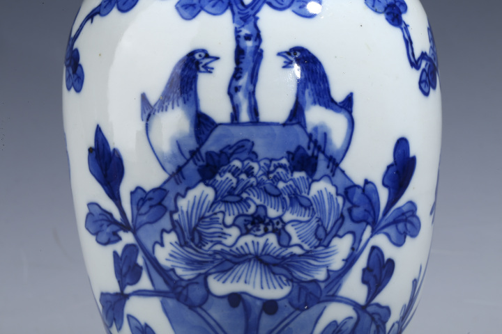 古玩陶瓷【域鑒優品折扣放漏】光緒·青花洞石花鳥紋雞腿瓶拍賣，當前價格3960元