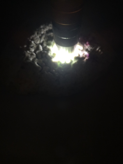 古玩玉器天然翡翠原石料拍賣,當前價格680元