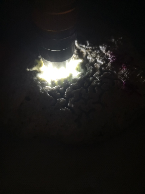 古玩玉器天然翡翠原石料拍賣,當前價格680元