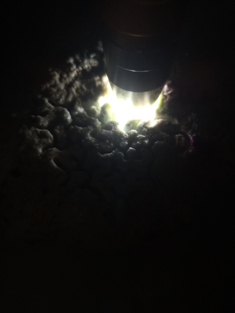 古玩玉器天然翡翠原石料拍賣,當前價格680元