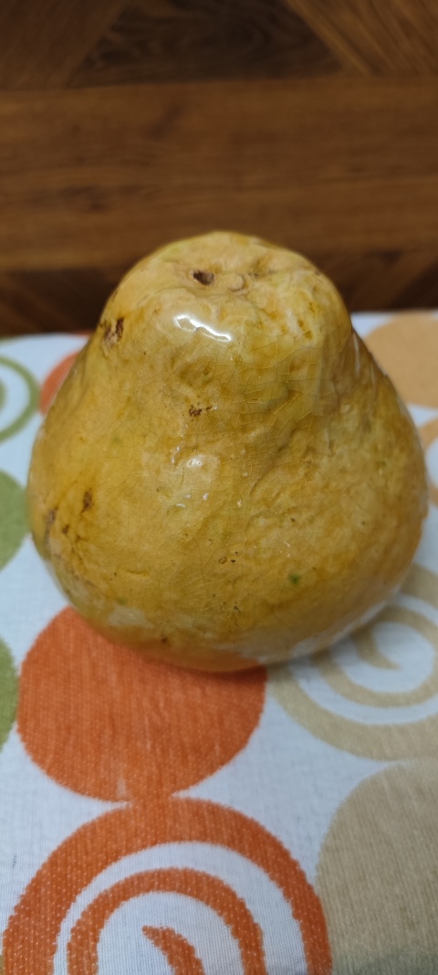 古玩陶瓷大名家黃古珍仿生瓷柚拍賣,當(dāng)前價(jià)格550元